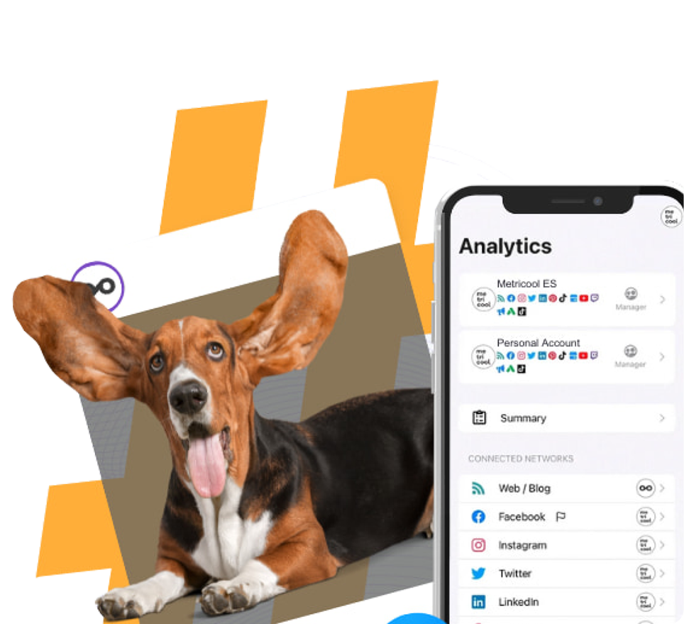 Social Media Hub