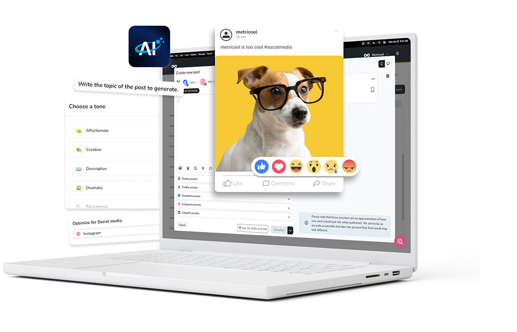 Imagem do Produto Metricool